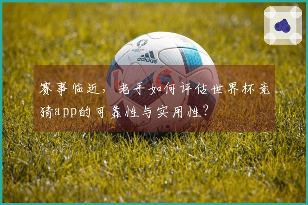 赛事临近,老手如何评估世界杯竞猜app的可靠性与实用性?