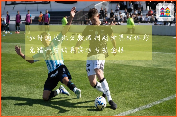 如何通过比分数据判断世界杯体彩竞猜平台的真实性与安全性